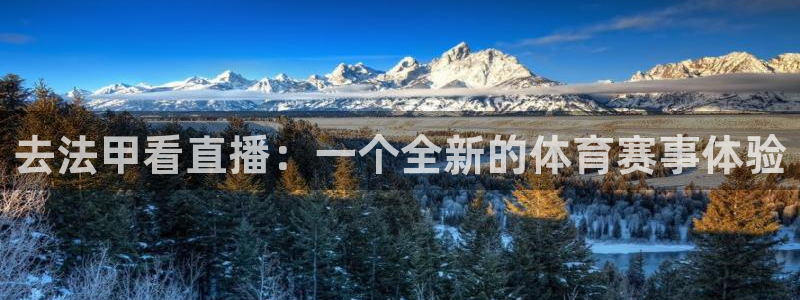 山猫体育在线直播高清：去法甲看直播：一个全新的体育赛事体验