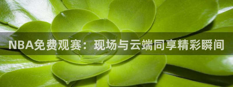 山猫体育直播五大：NBA免费观赛：现场与云端同享精彩瞬间