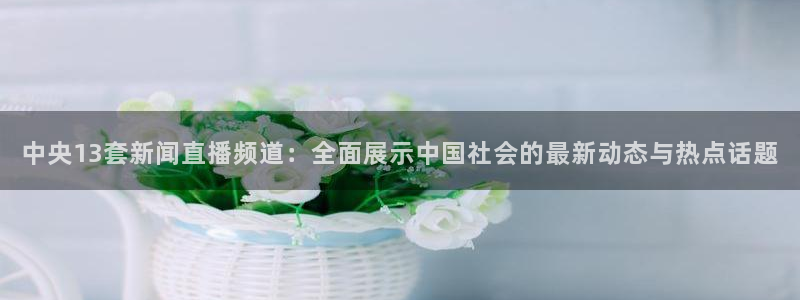 山猫足球直播免费观看：中央13套新闻直播频道：全面展示中国社会的最新动态与热点话题