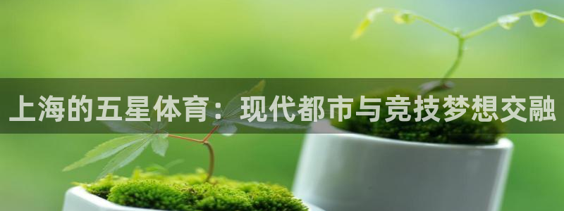 山猫体育赛事直播苹果版下载：上海的五星体育：现代都市与竞技梦想交融