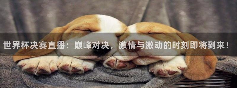 山猫体育电视版：世界杯决赛直播：巅峰对决，激情与激动的时刻即将到来！