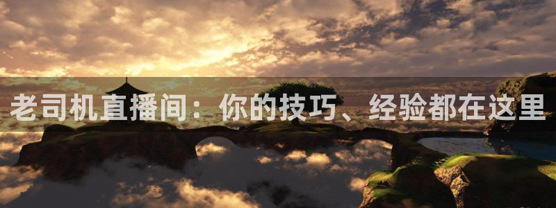 山猫足球比赛直播：老司机直播间：你的技巧、经验都在这里