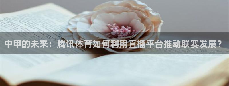 山猫五大联赛直播：中甲的未来：腾讯体育如何利用直播平台推动联赛发展？