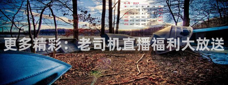 山猫免费体育直播：更多精彩：老司机直播福利大放送