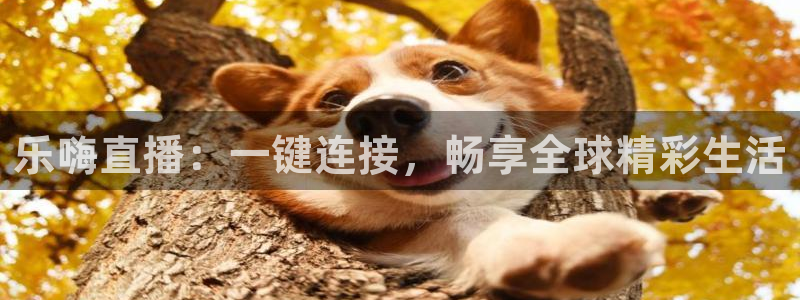 山猫在线体育直播：乐嗨直播：一键连接，畅享全球精彩生活