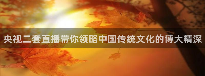 山猫体育赛事直播：央视二套直播带你领略中国传统文化的博大精深